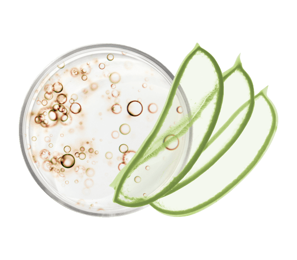 Pierre Ricaud Lait Corps Après-soleil Prolongateur De Bronzage