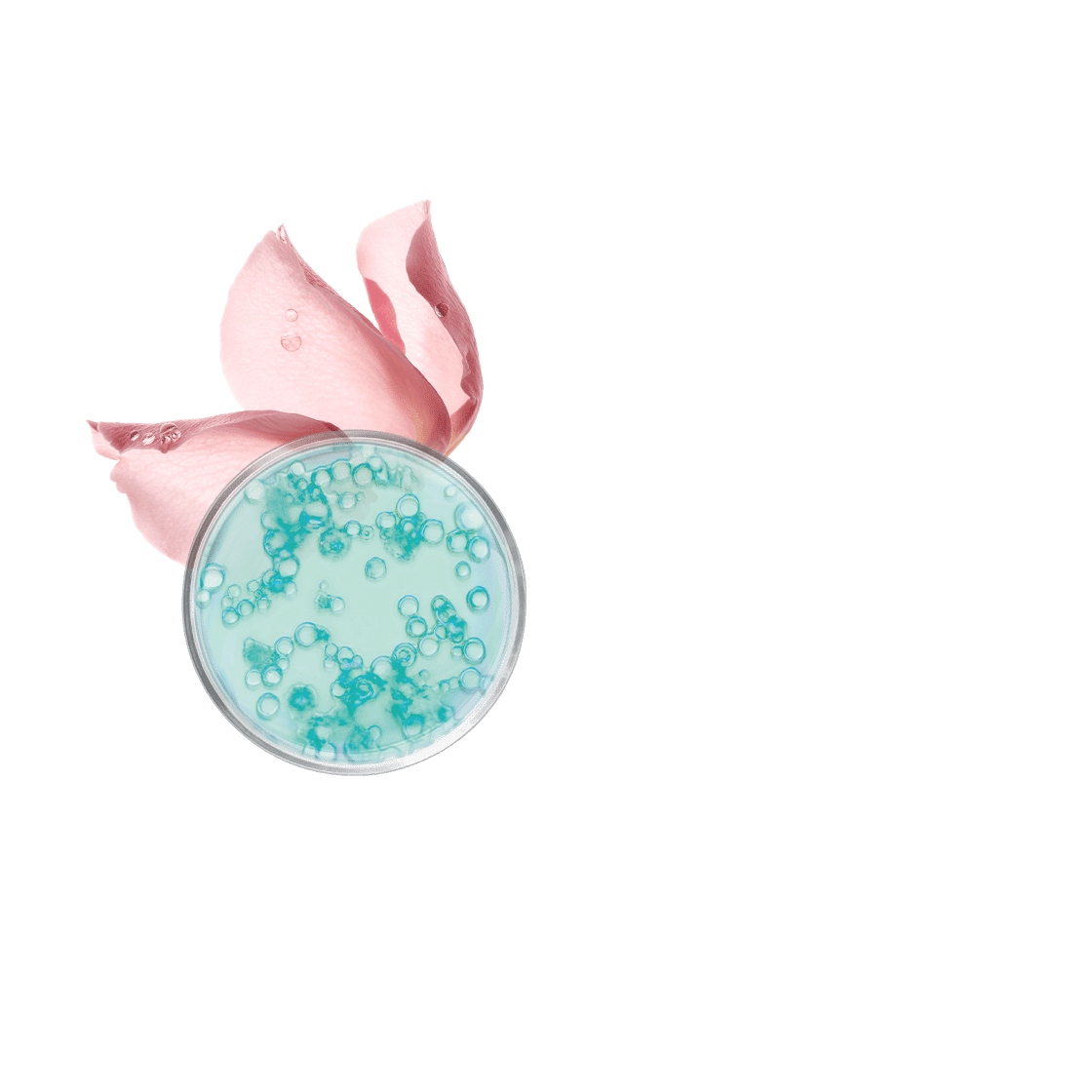 pierre ricaud Lait démaquillant micellaire visage yeux & lèvres