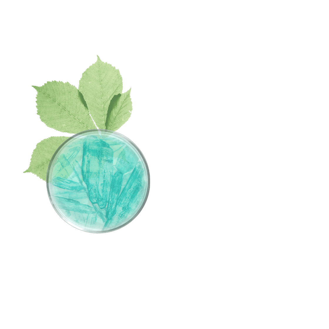 pierre ricaud Lait fraîcheur pieds et jambes légères