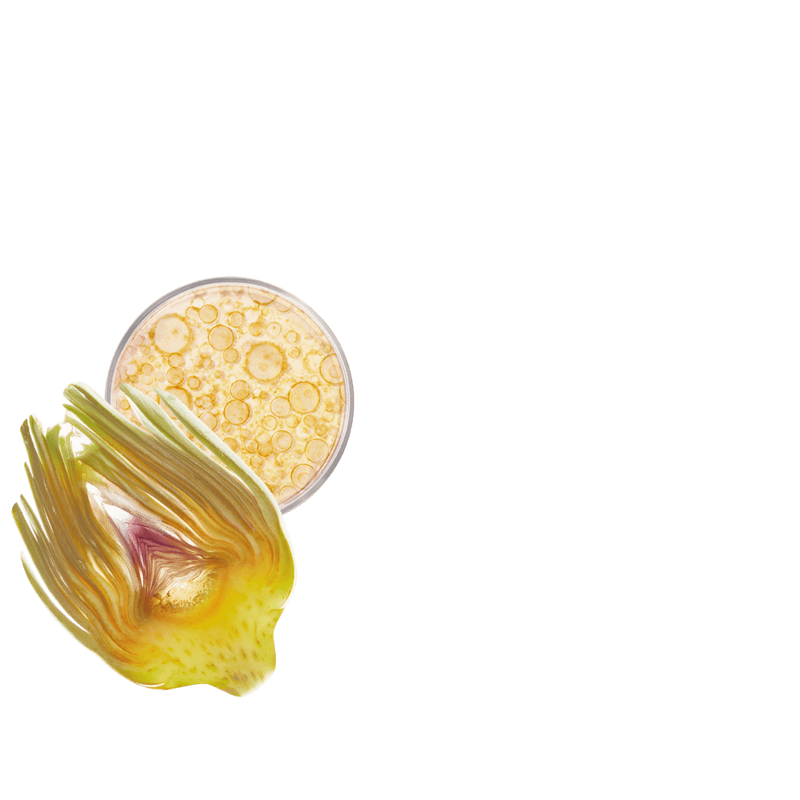 pierre ricaud Masque baume relipidant rafraichissant