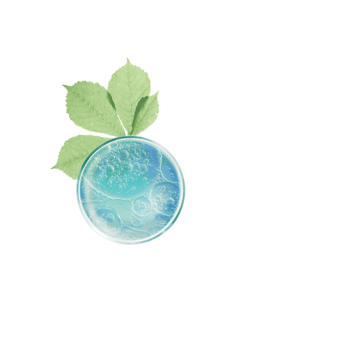 pierre ricaud Anticernes correcteur lissant Clair