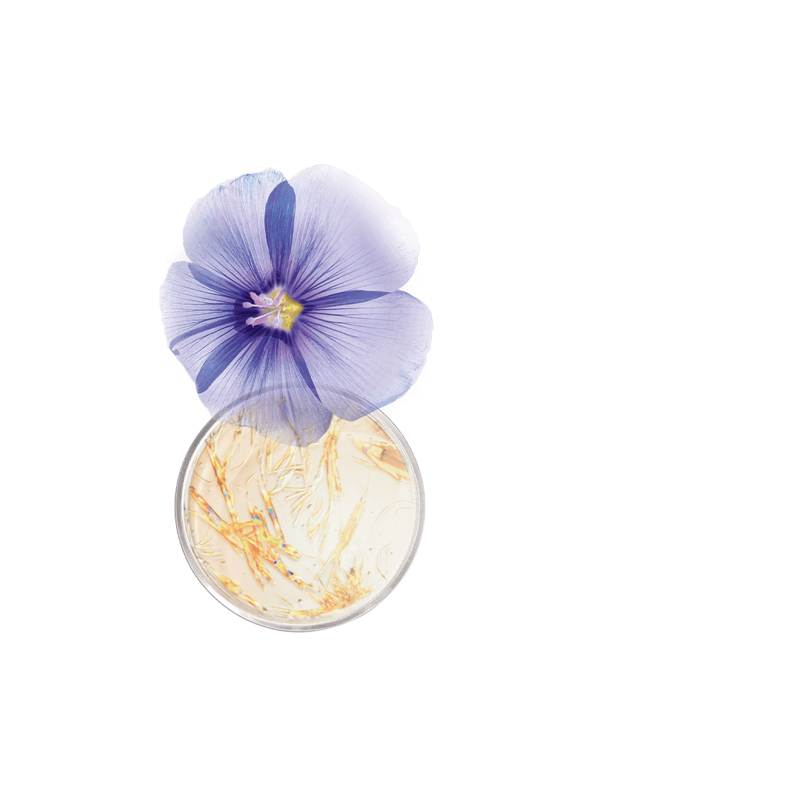 pierre ricaud Contour yeux lifting