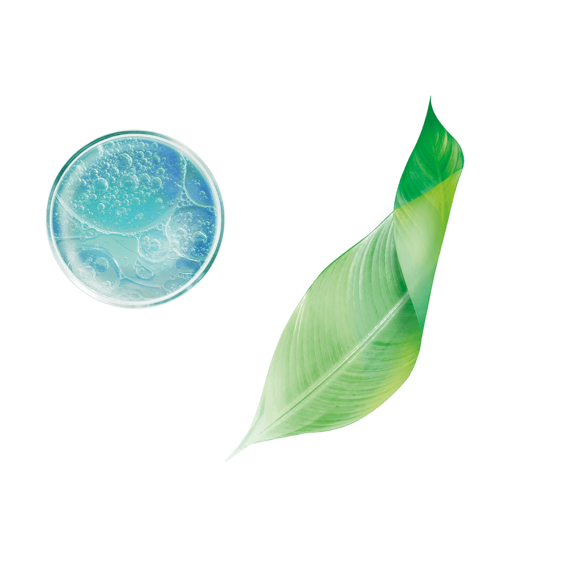 pierre ricaud Crème anti-rides comblante