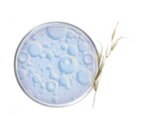 Pierre Ricaud Crème De Douche Réconfortante