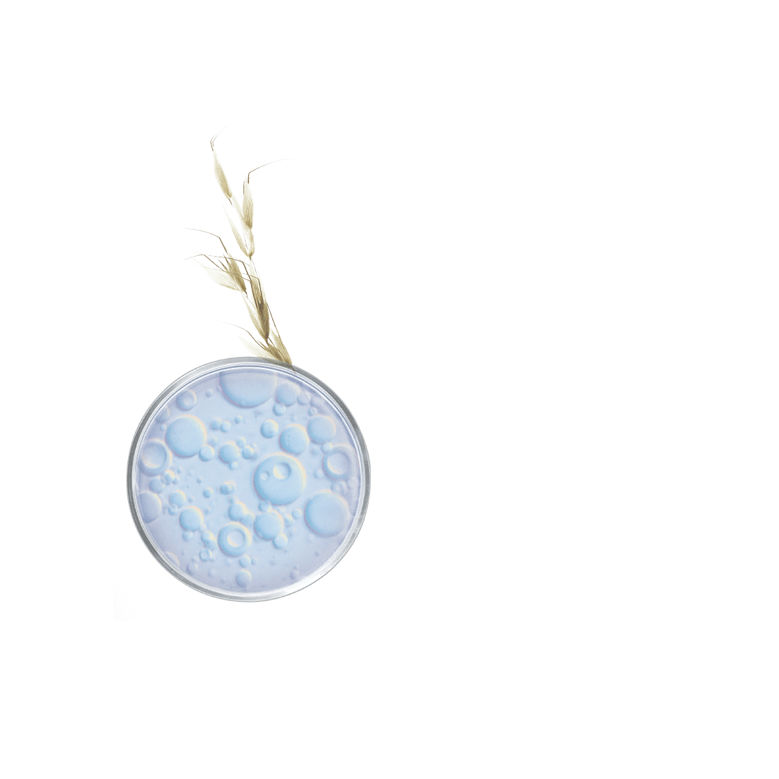 pierre ricaud Crème de douche réconfortante