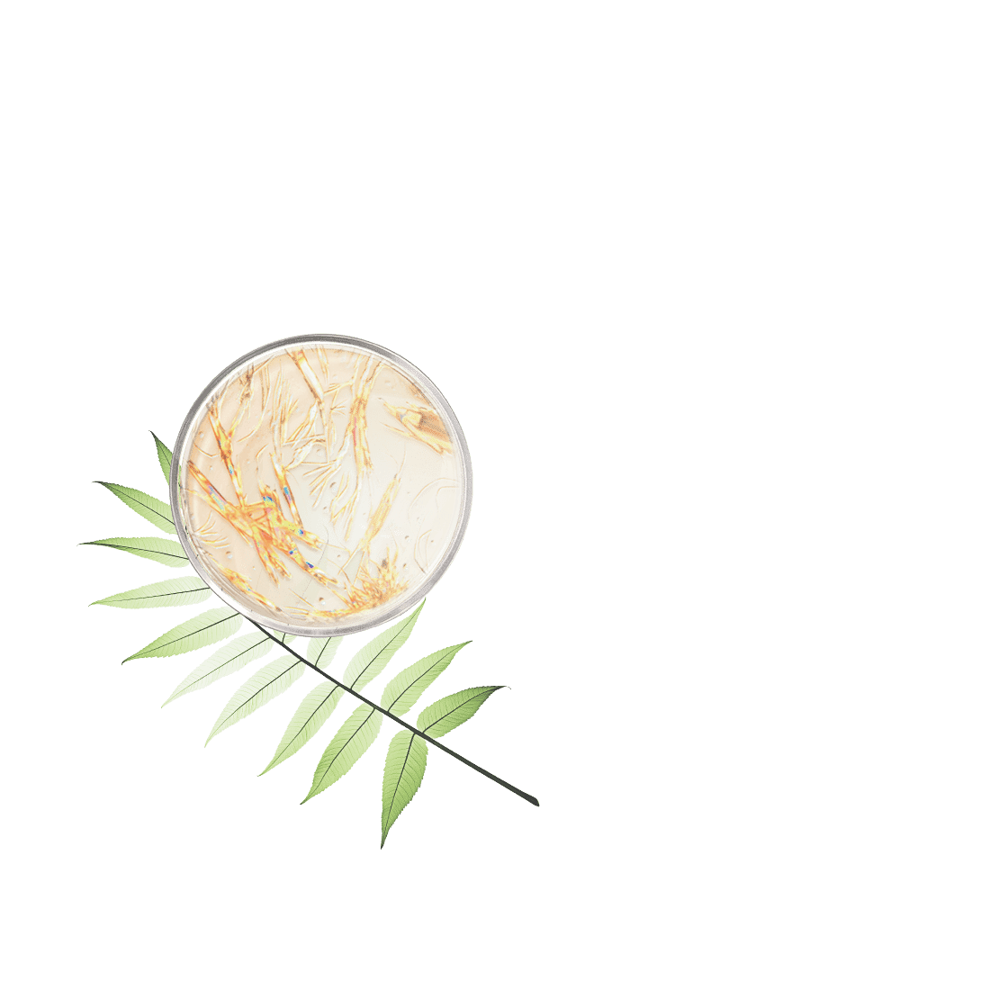 pierre ricaud Crème mains éclaircissante taches