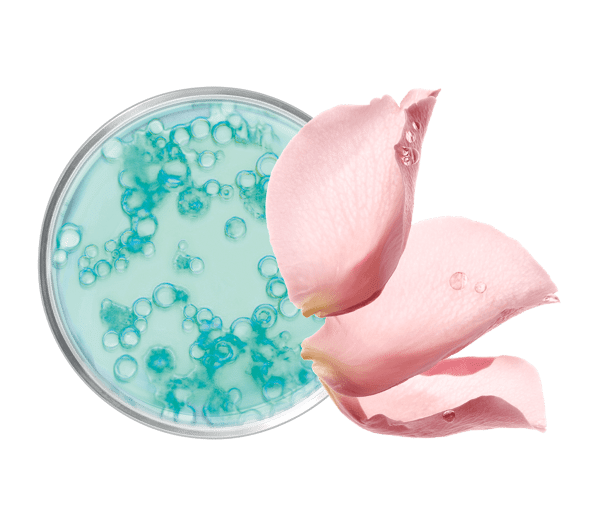 Pierre Ricaud Crème Nettoyante Micellaire Visage