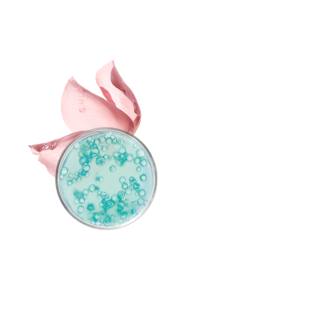 pierre ricaud Crème nettoyante micellaire visage