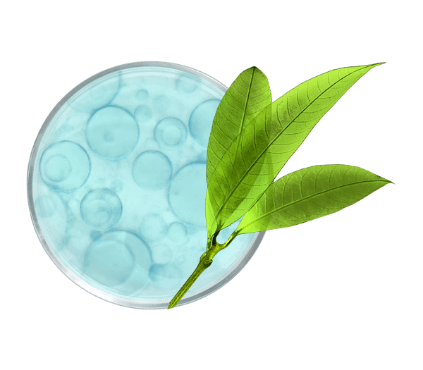 Pierre Ricaud Crème Pieds à L'huile De Macadamia