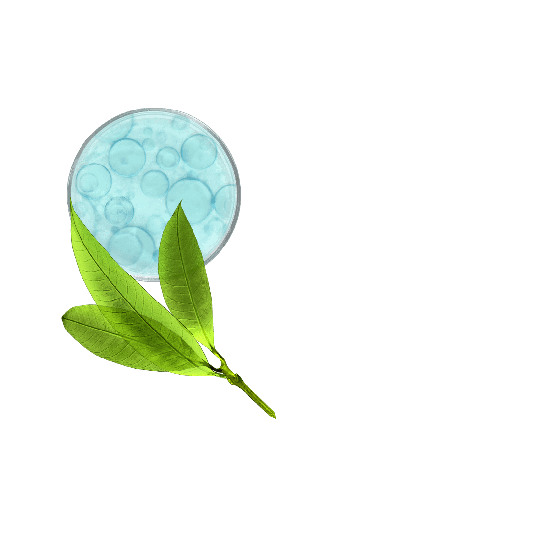 pierre ricaud Crème pieds à l'huile de macadamia