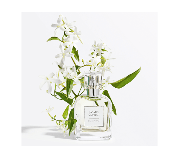 Pierre Ricaud Eau De Parfum Jasmin Sambac