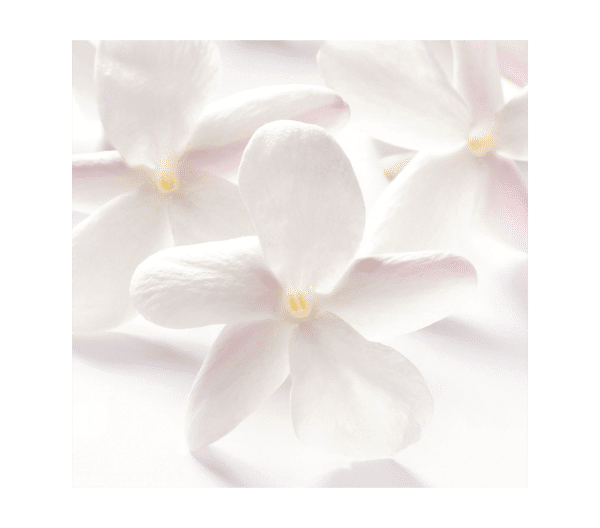 Pierre Ricaud Eau De Parfum Jasmin Sambac