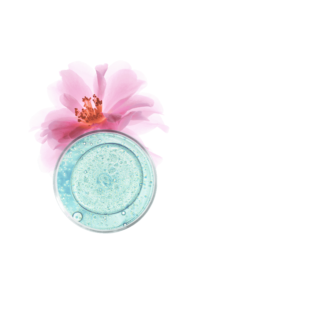 pierre ricaud Embellisseur de teint hydratant