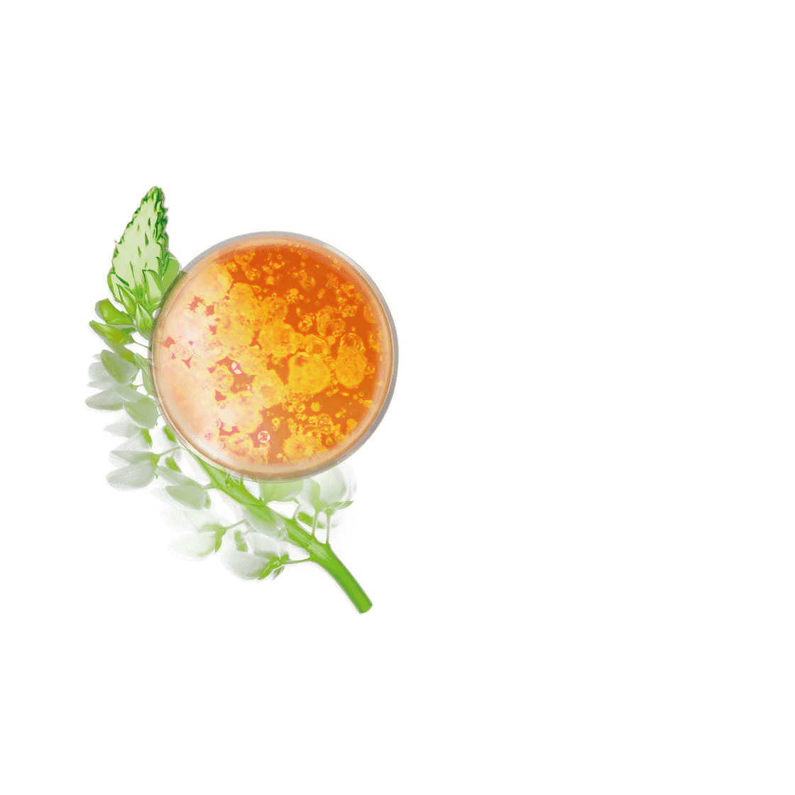 pierre ricaud Fluide de teint glow Beige 1