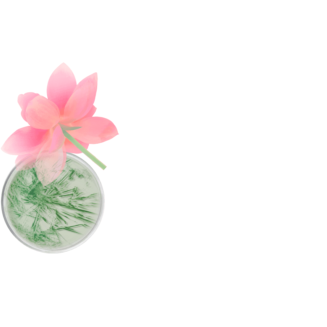 pierre ricaud Gel-crème minceur