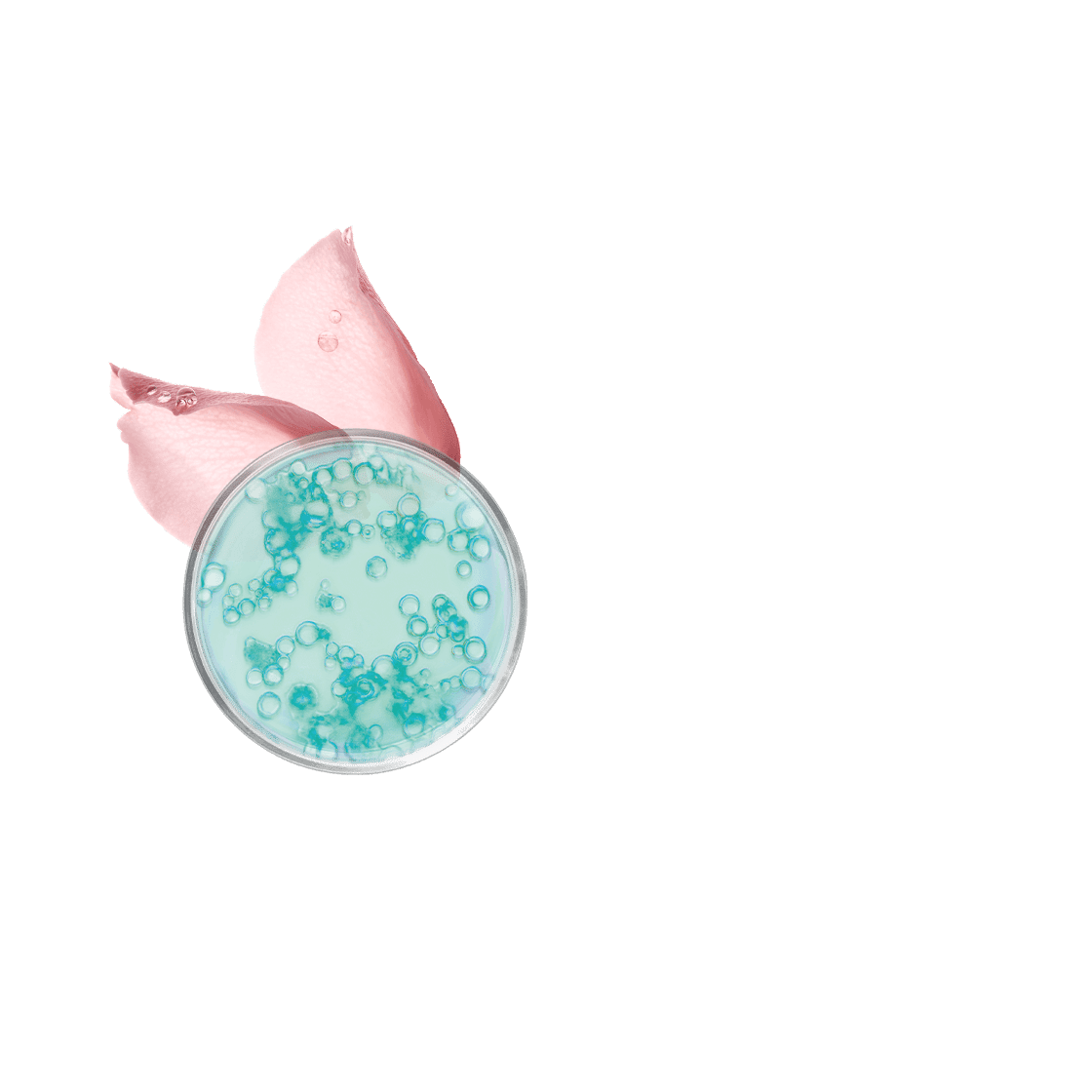 pierre ricaud Gommage exfoliant micrograins visage