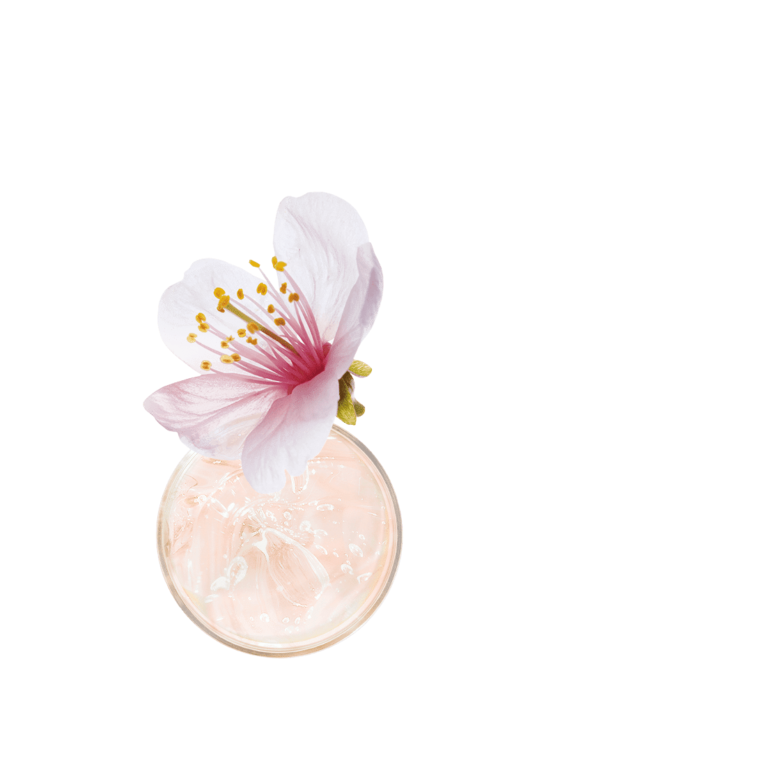 pierre ricaud Huile de douche hydratante