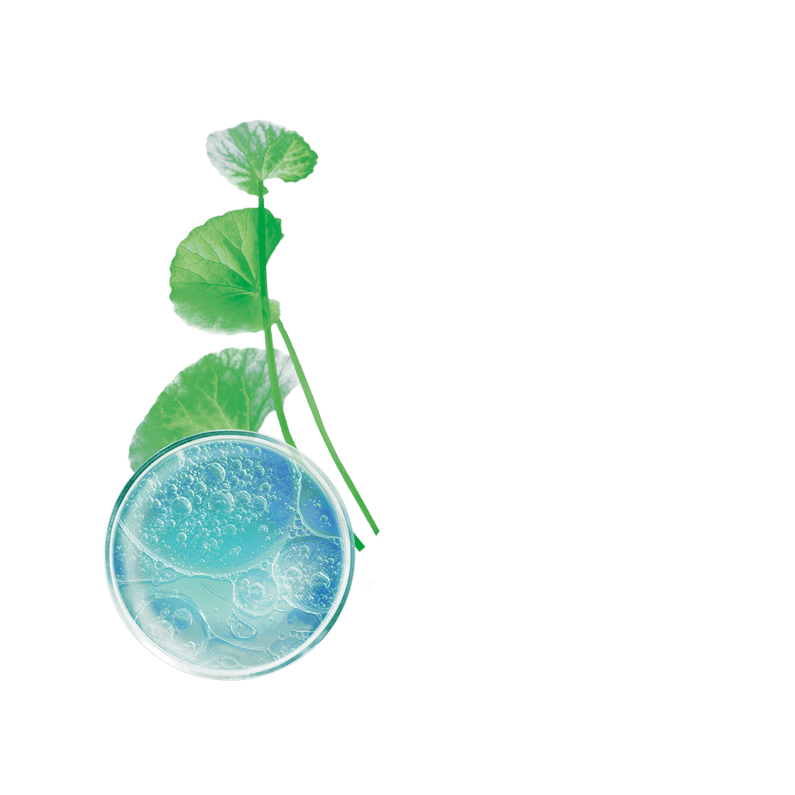 pierre ricaud Lait corps 3-en-1 Hydratant 24h