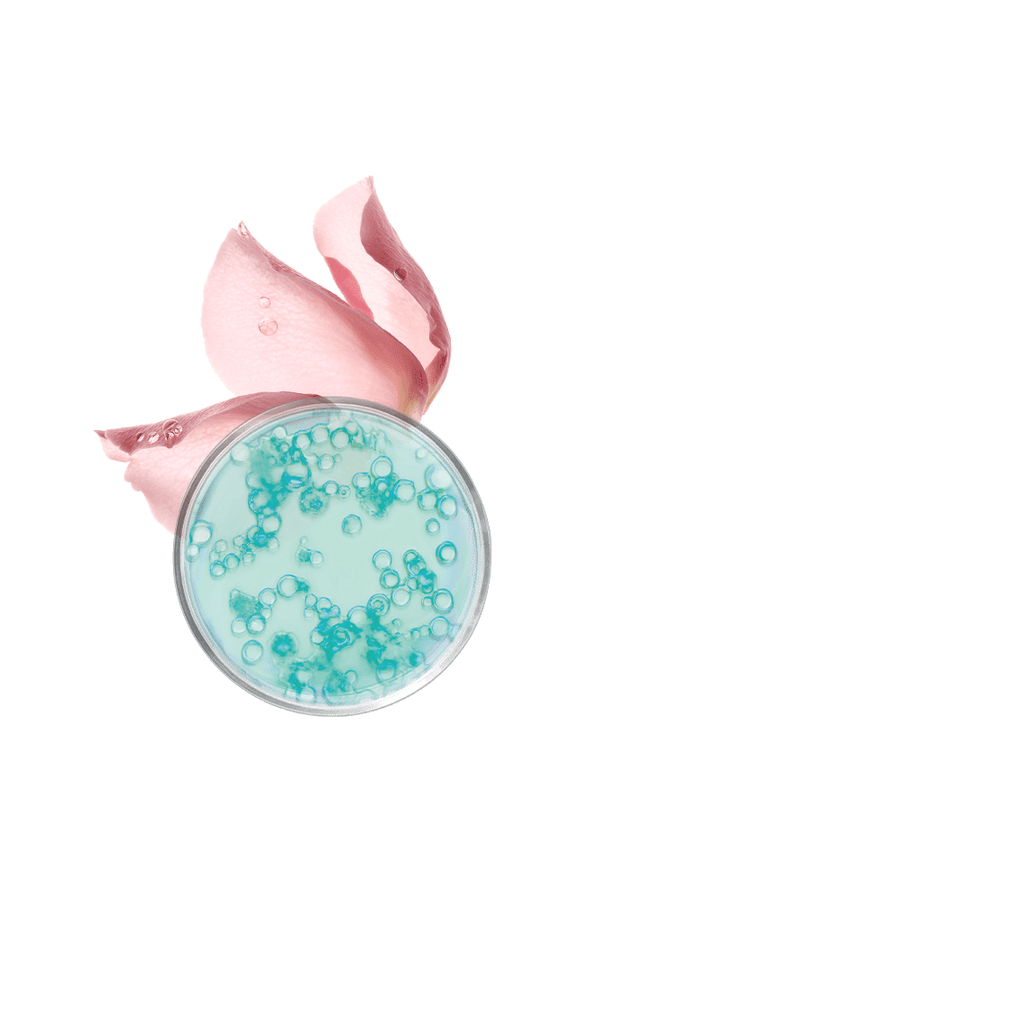 pierre ricaud Lotion tonique fraîcheur visage