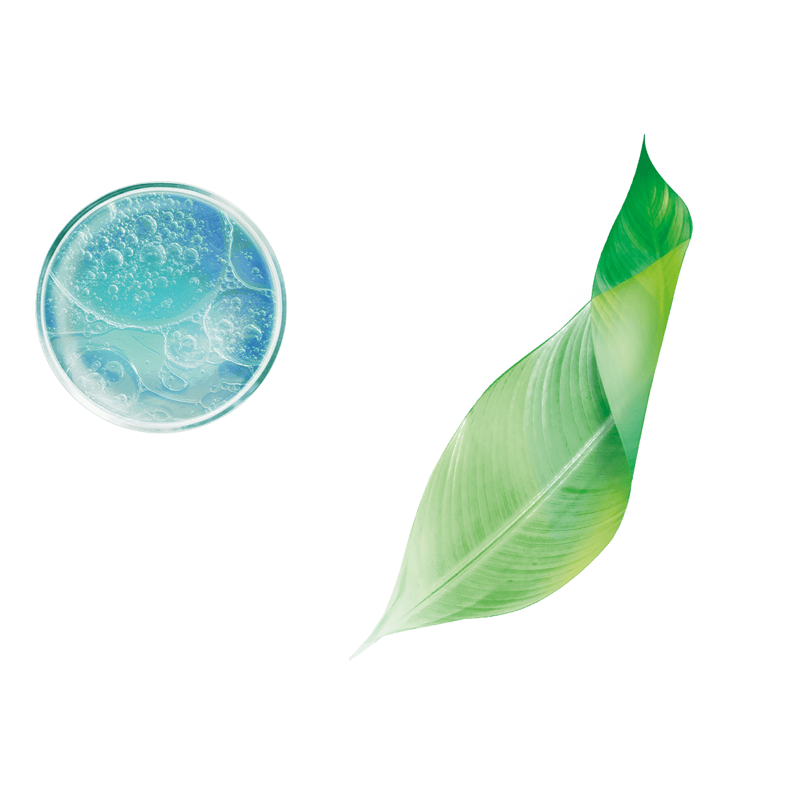 pierre ricaud Masque anti-rides lissant express