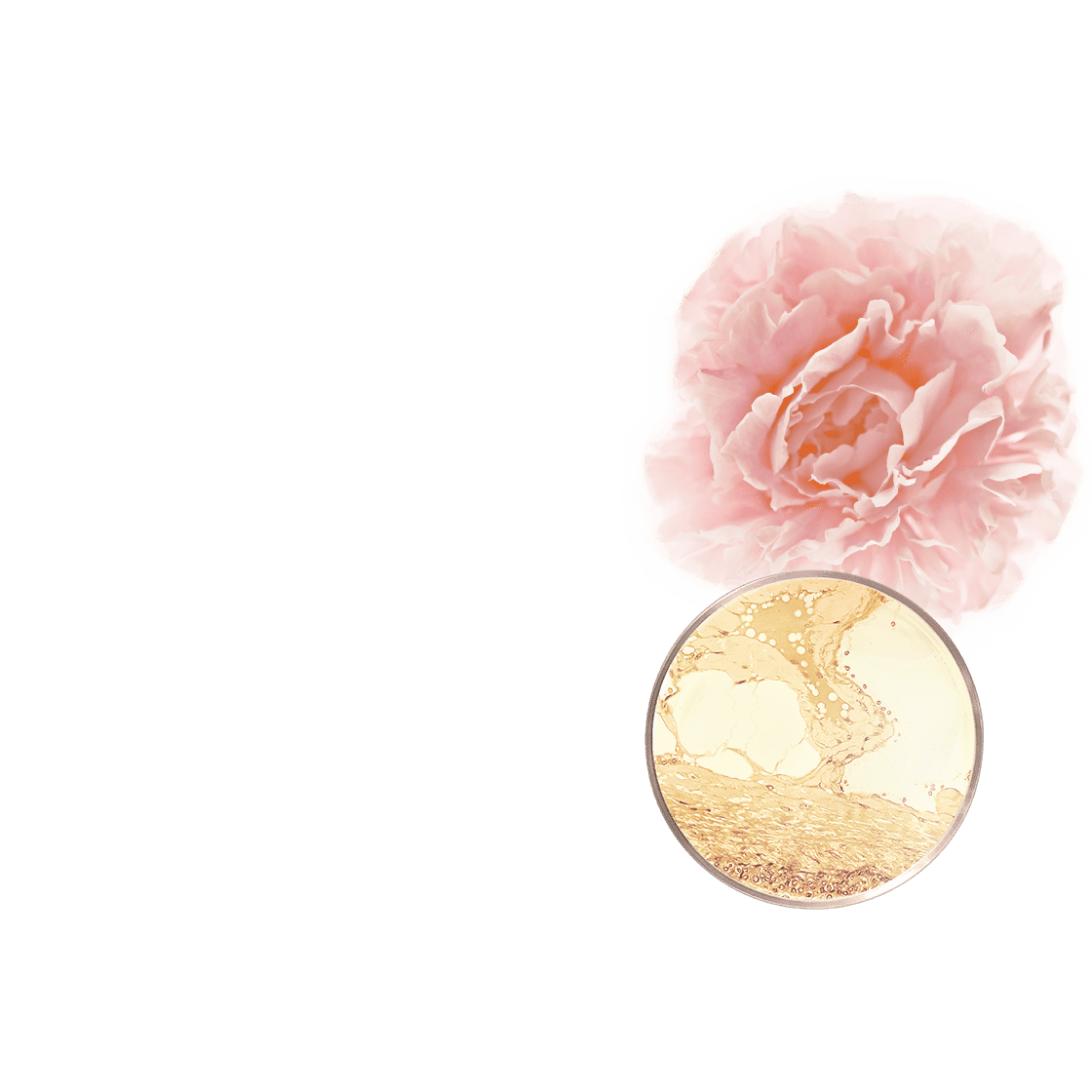 pierre ricaud Recharge - Sublime Crème jour