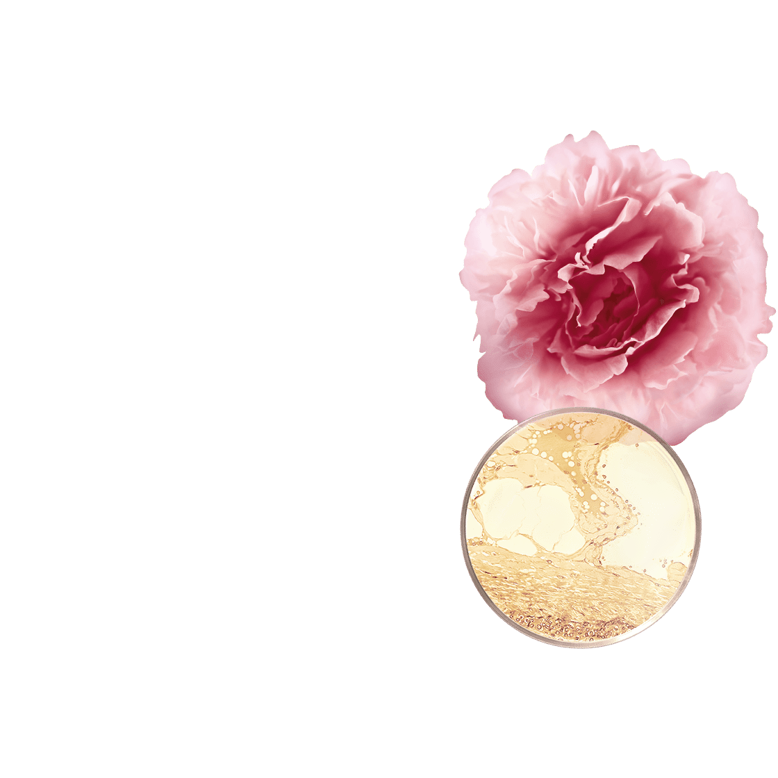 pierre ricaud Recharge - Sublime crème nuit