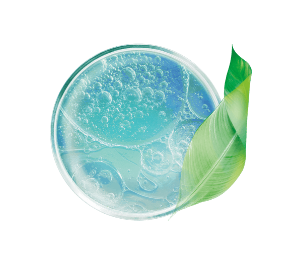 Pierre Ricaud Sérum Activateur Anti-rides