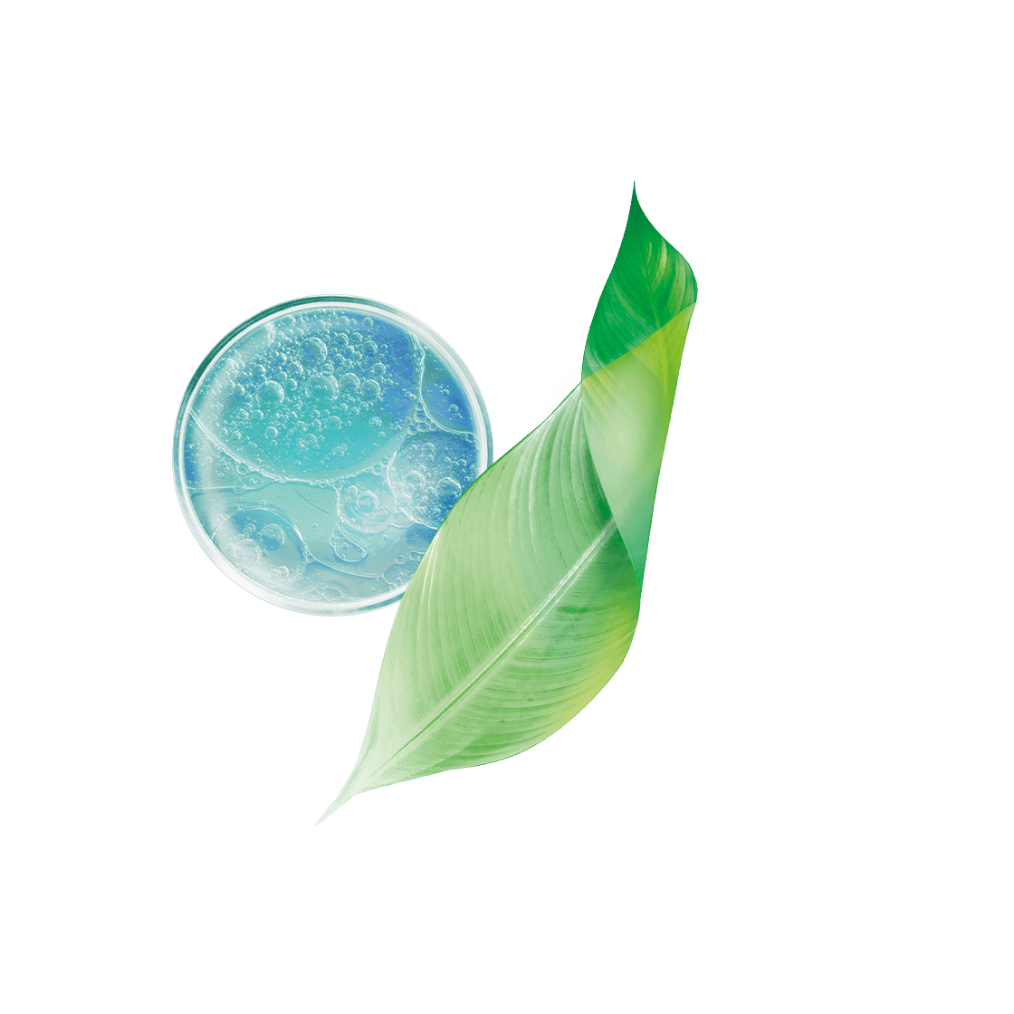 pierre ricaud Sérum activateur anti-rides