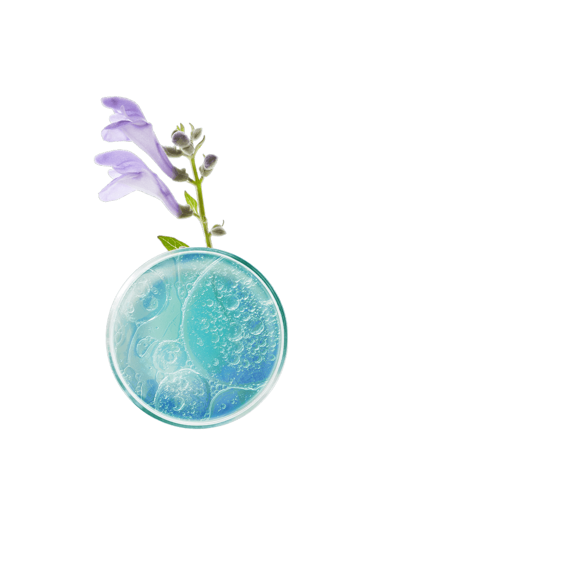 pierre ricaud Sérum de teint lissant Beige 0