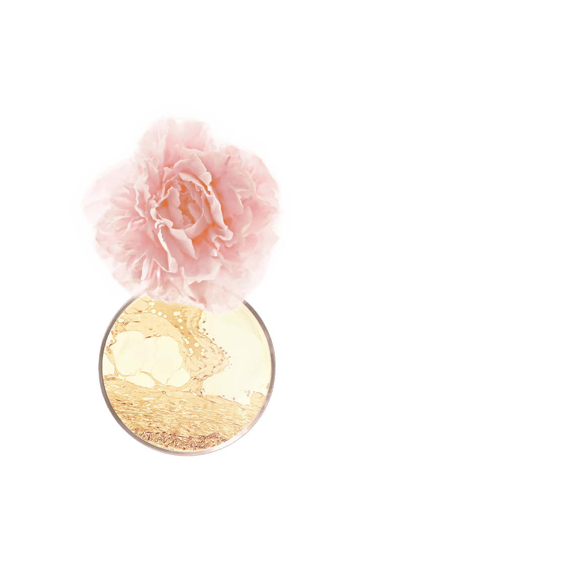 pierre ricaud Sublime élixir lumière de peau