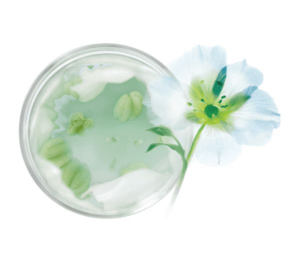 Pierre Ricaud Sérum Activateur Réhydratant 24h Anti-pollution