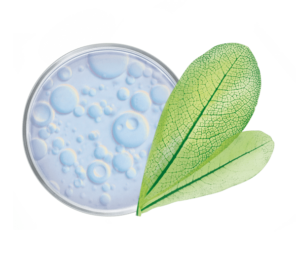 Pierre Ricaud Soin Lèvres à La Vitamine E Karité Et Huile D’olive