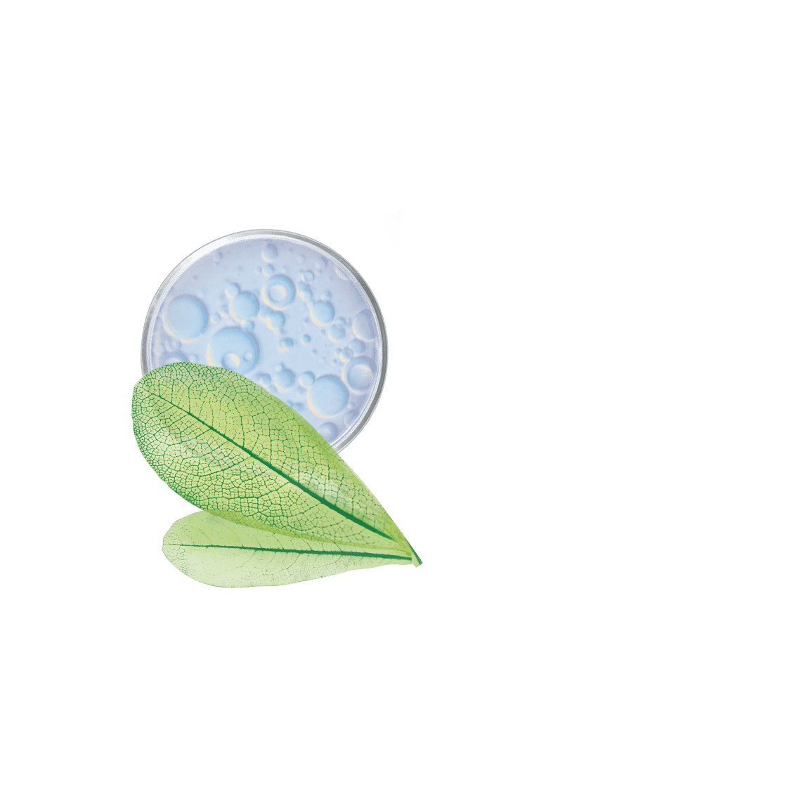 pierre ricaud Soin lèvres à la vitamine E karité et huile d’olive