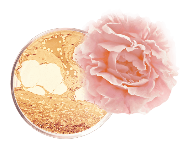 Pierre Ricaud Sublime Baume Contour Yeux Peptide Et Rosa Centifolia