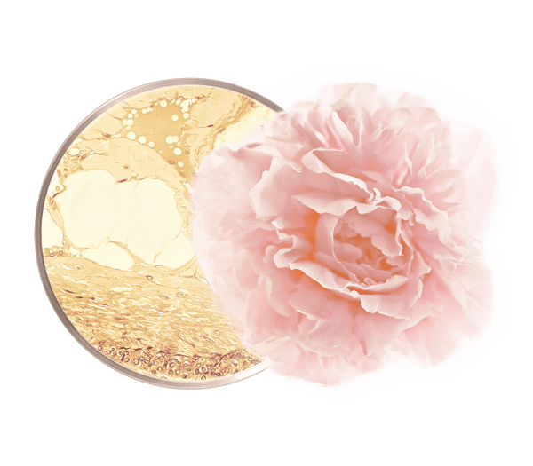 Pierre Ricaud Sublime Crème Nuit Peptide Et Rosa Centifolia