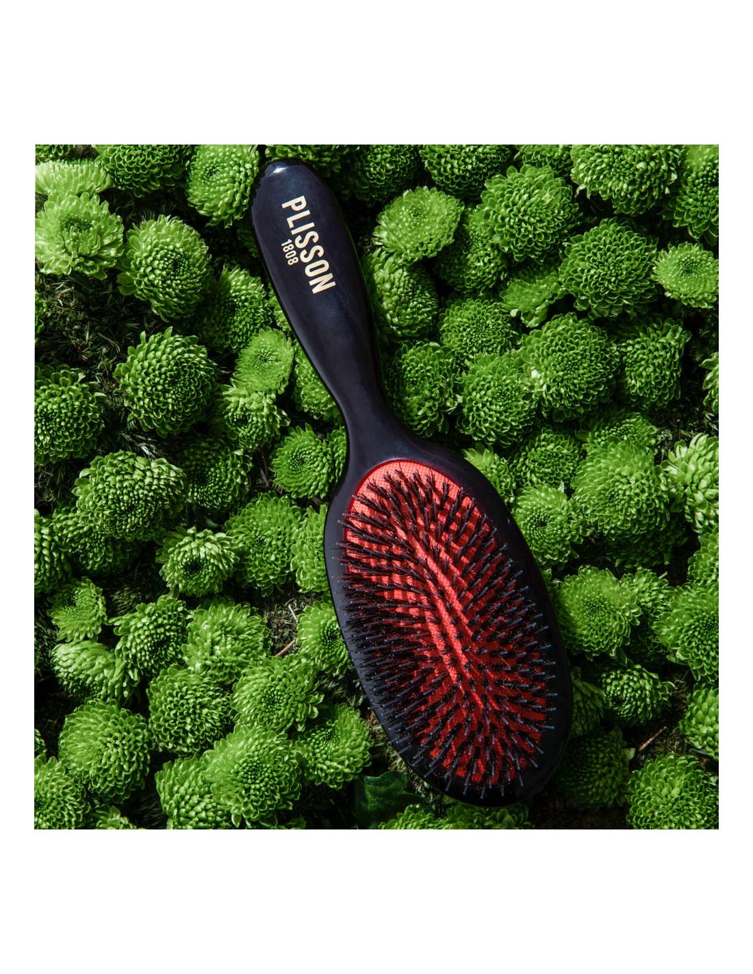 Plisson Brosse à Cheveux Pneumatique Moyen Modèle - Sanglier Et Picots Nylon