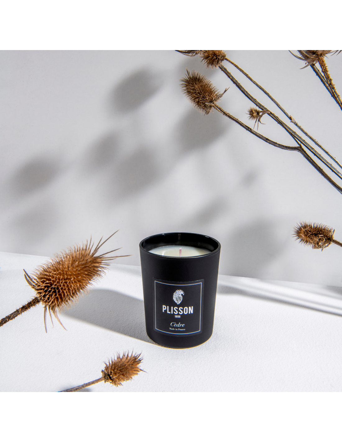Plisson Bougie Cèdre