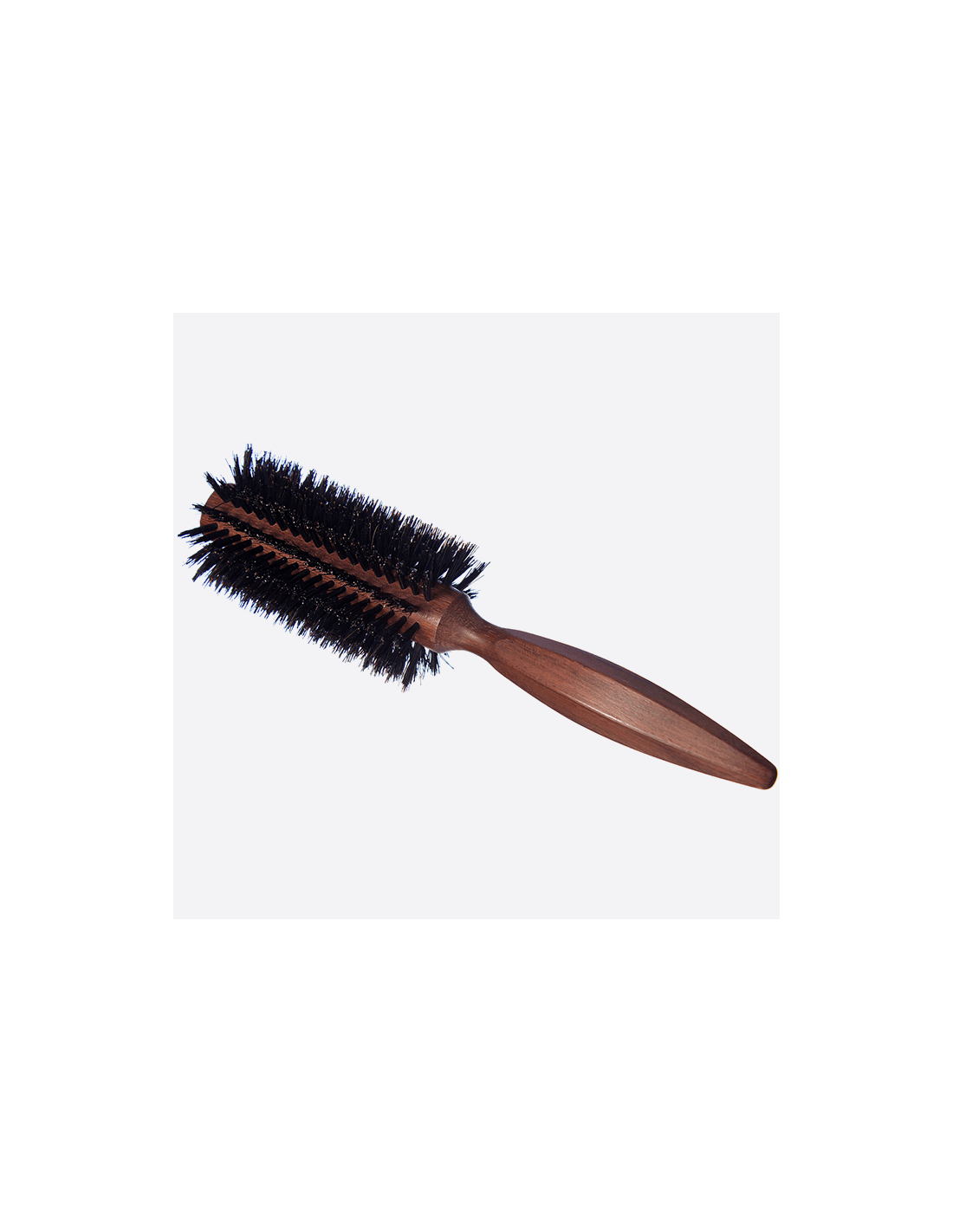 Plisson Brosse Brushing Taille 14 Pur Sanglier