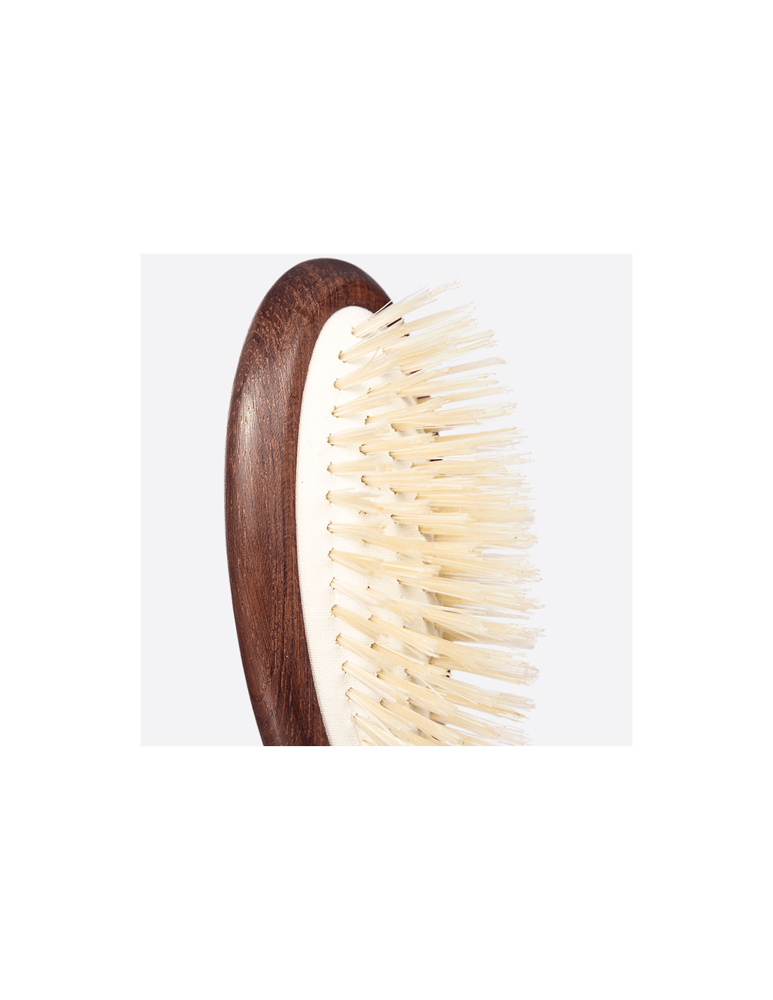 plisson Brosse Pneumatique Soies Petit Modèle