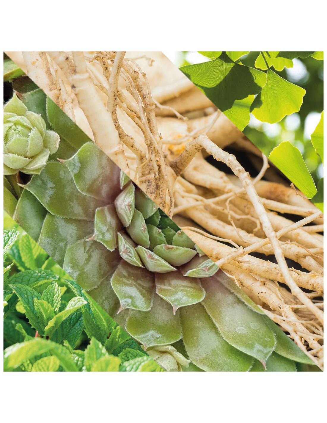 Plisson Gel Douche 3-en-1