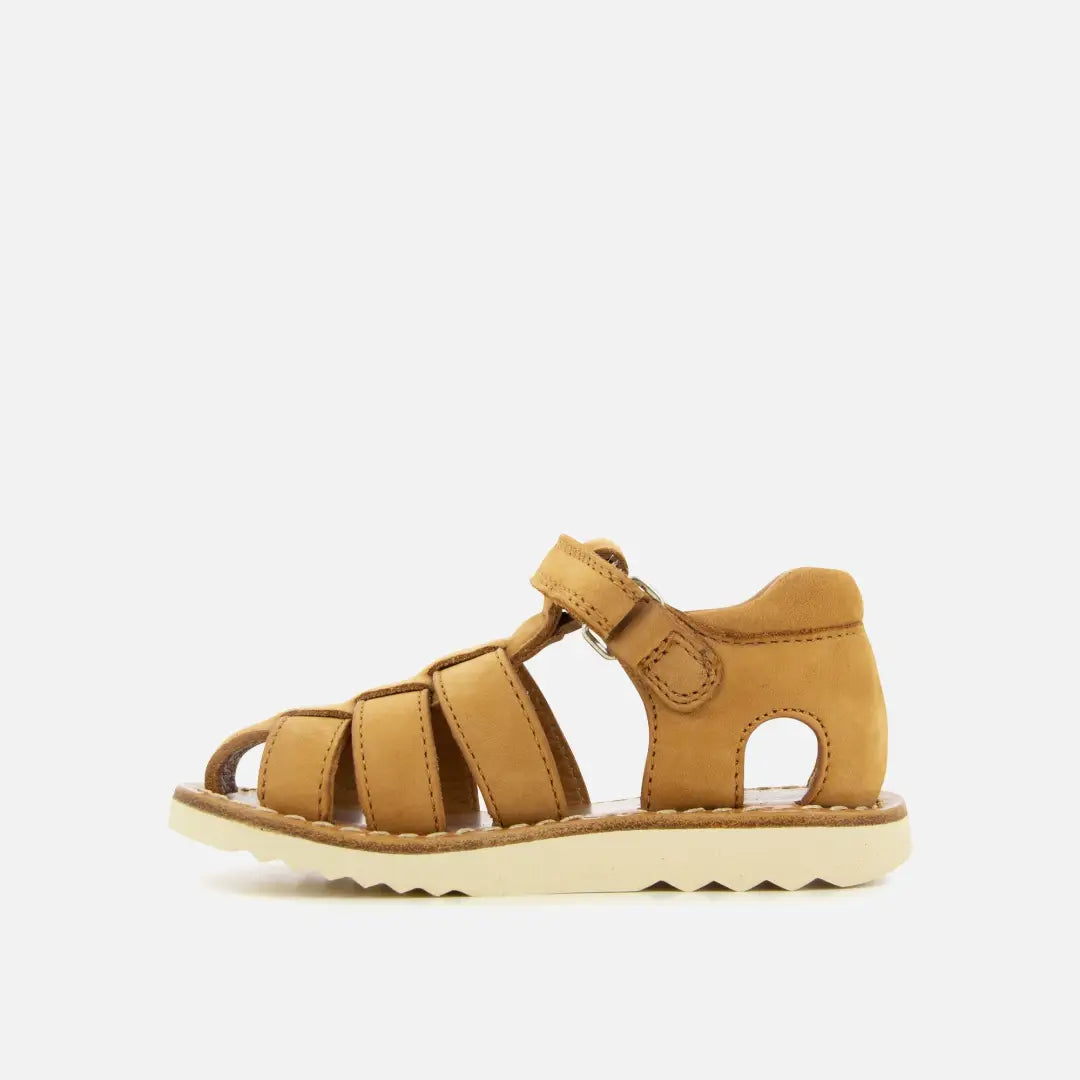 Pom Dapi WAFF PAPY CUIR NUBUCK MARRON