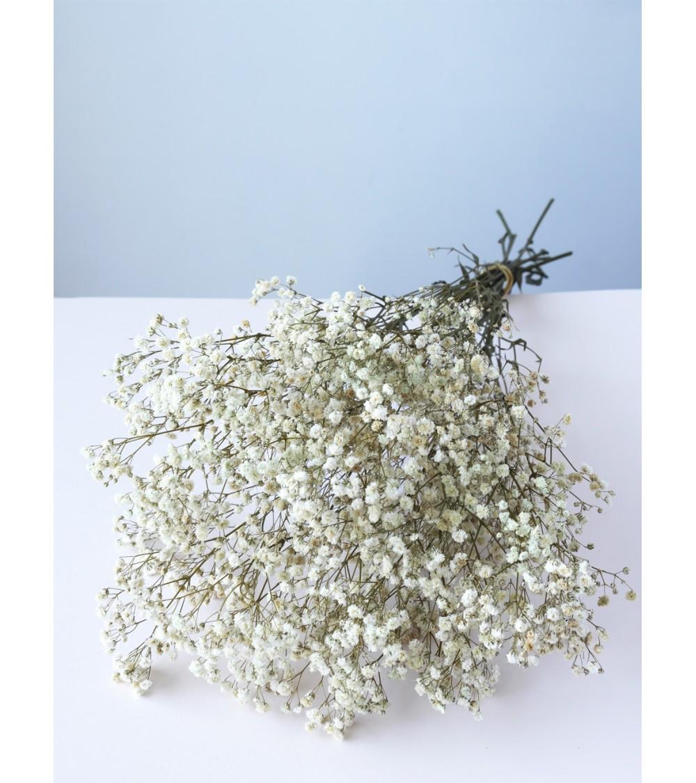 pompon bazar GYPSOPHILE PRESERVE ECRU
