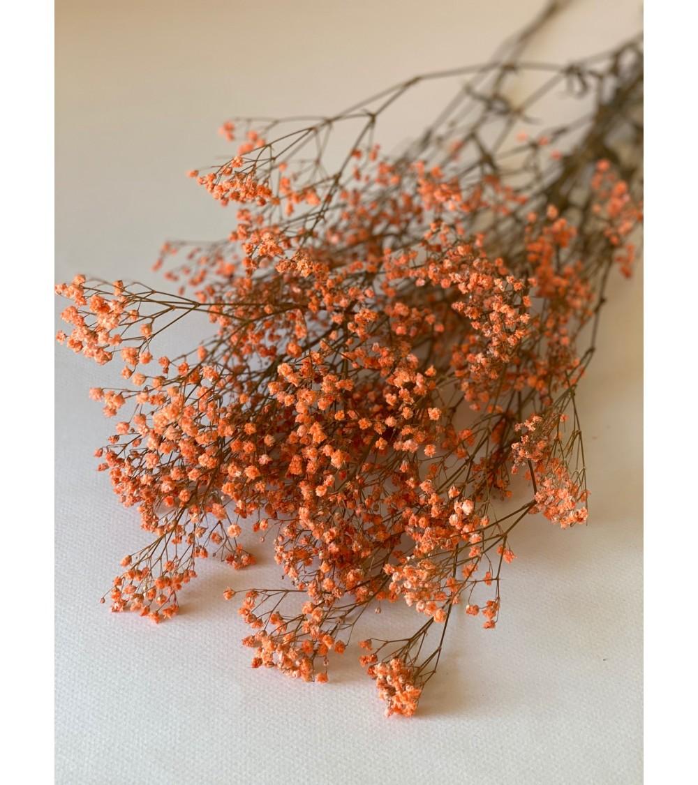 Pompon Bazar GYPSOPHILE PRESERVE ORANGÉ