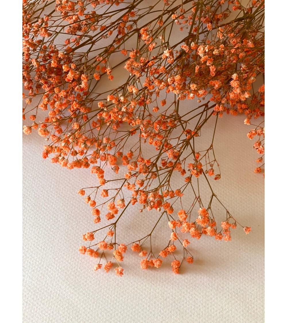 Pompon Bazar GYPSOPHILE PRESERVE ORANGÉ