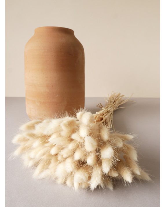 pompon bazar LAGURUS ECRU