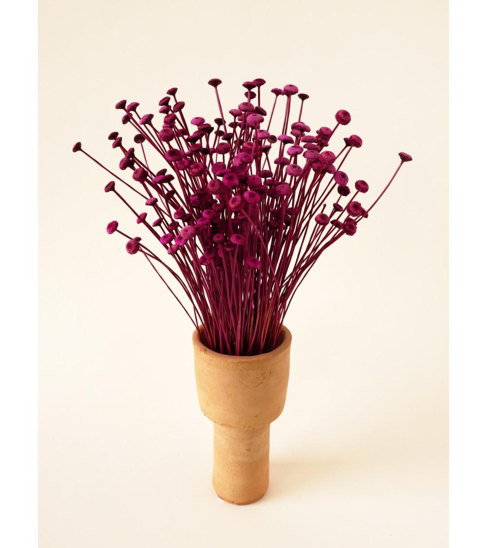 pompon bazar PETITE BOTTE de BOUTONS FUCHSIA