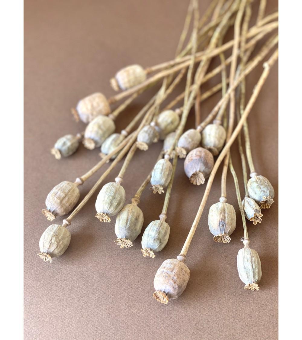 Pompon Bazar Petits PAVOTS NATUREL