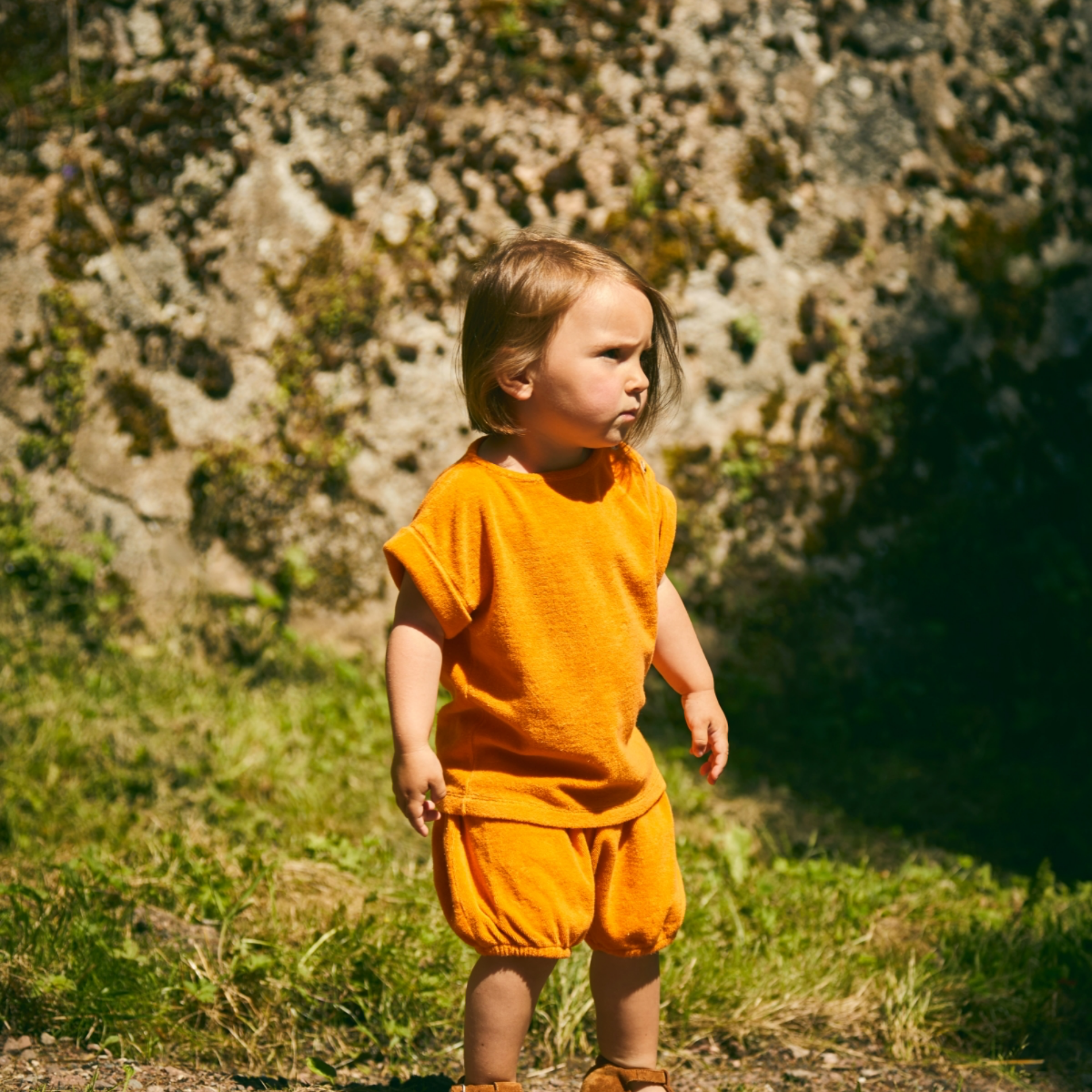 Poudre Organic BLOOMER VERVEINE ÉPONGE Russet Orange