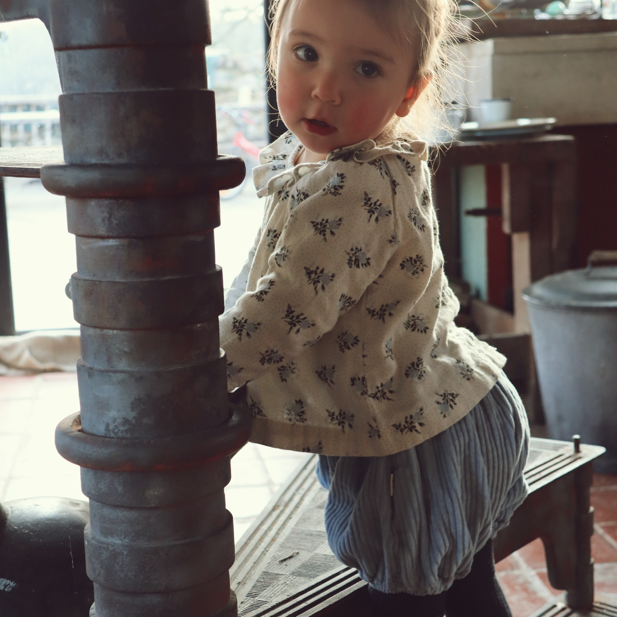 Poudre Organic BLOOMER VERVEINE VELOURS CÔTELÉ Blue Fog