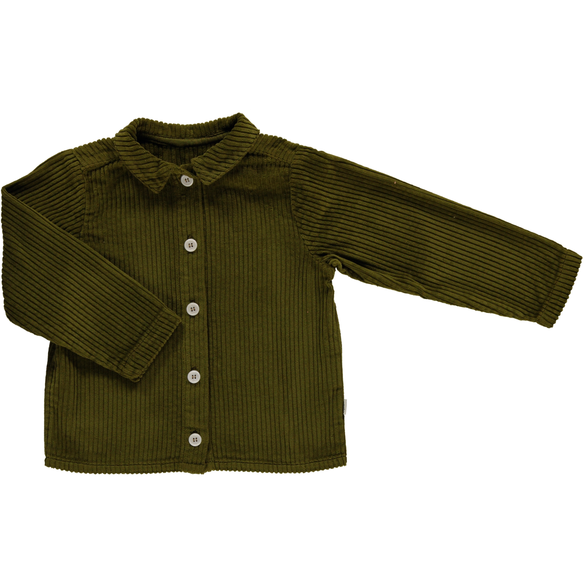 poudre organic BLOUSE BELLADONE VELOURS CÔTELÉ Fir Green